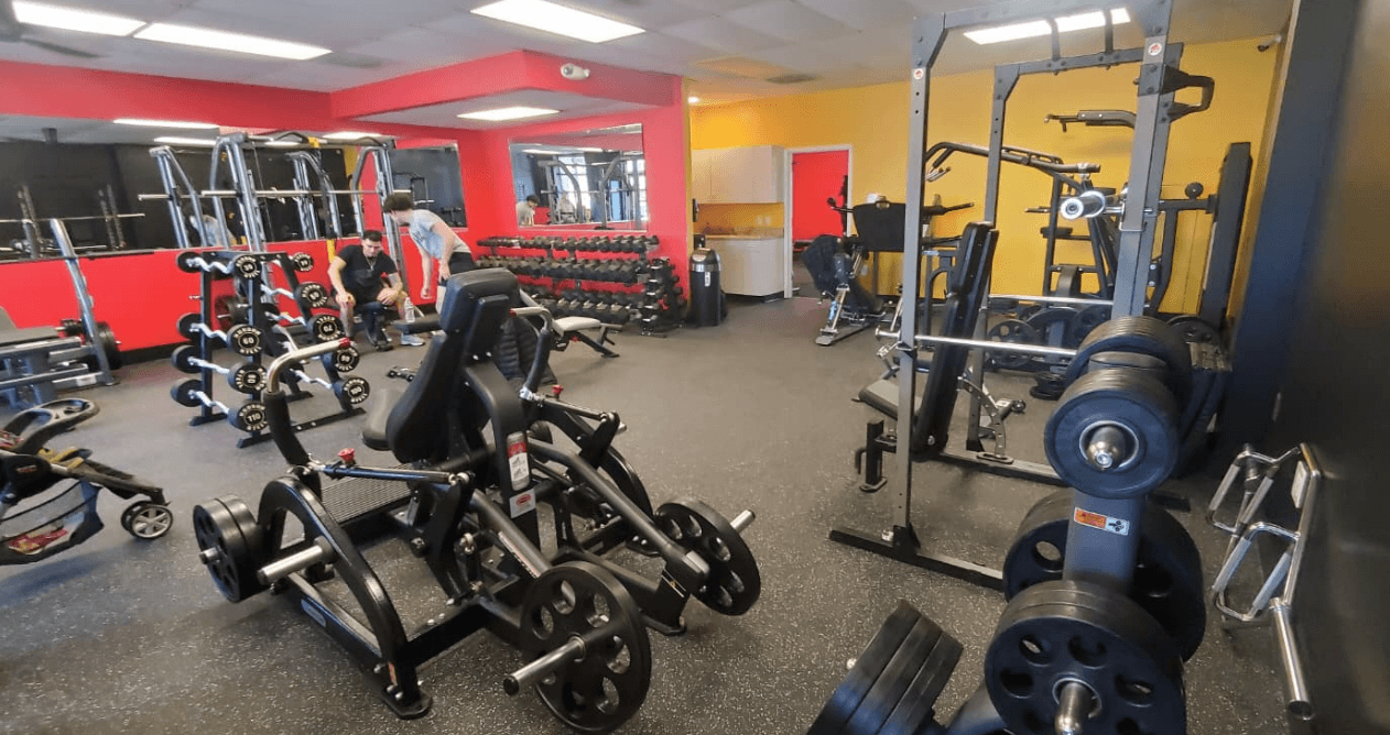 Commercial Gym Flooring Supporting Benches and Dumbells